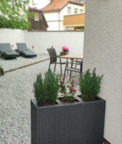Regiohotel Germania Am Kurpark באד הרצבורג מראה חיצוני תמונה