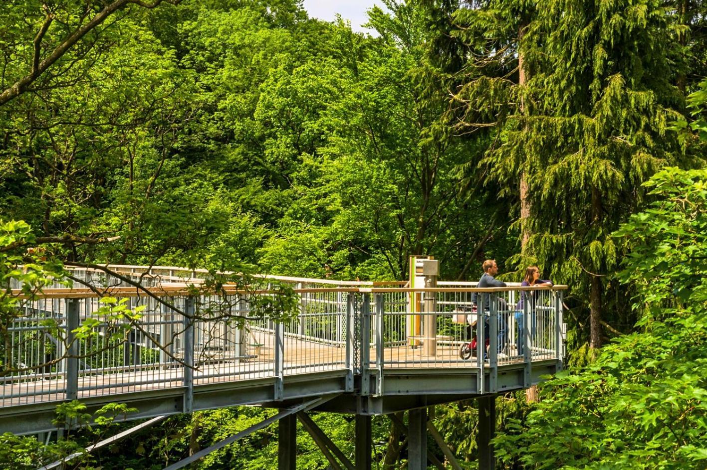 Regiohotel Germania Am Kurpark באד הרצבורג מראה חיצוני תמונה